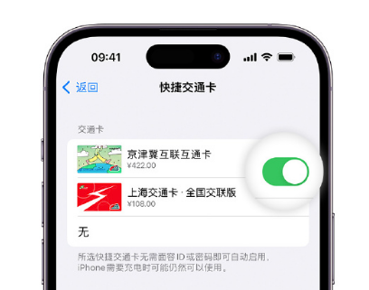 绩溪apple维修点分享iPhone上更换Apple Pay快捷交通卡手绘卡面 