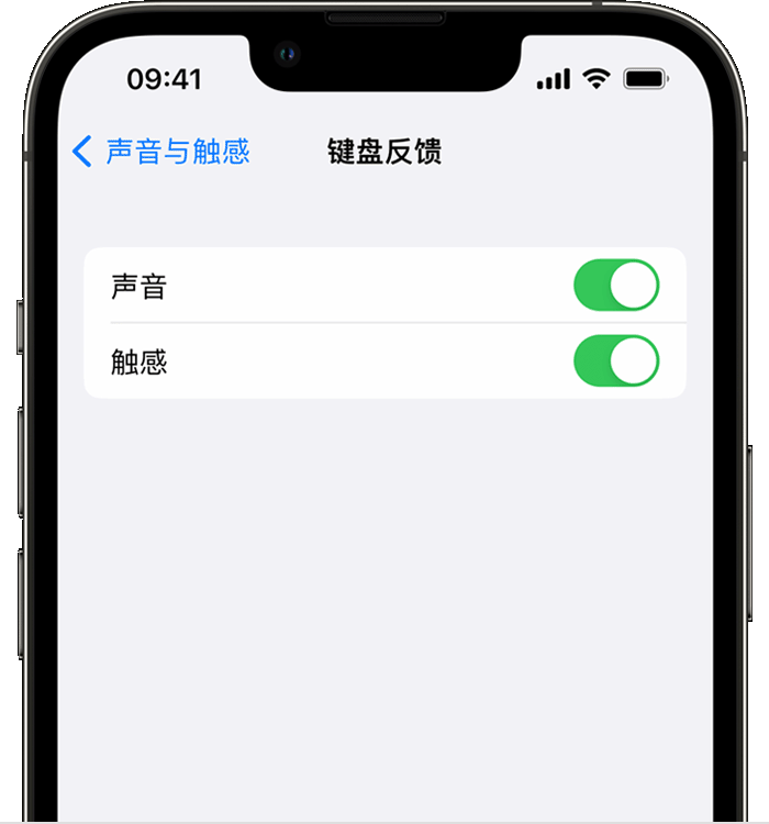 绩溪苹果14维修店分享如何在 iPhone 14 机型中使用触感键盘 