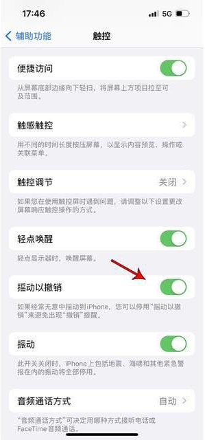 绩溪苹果手机维修分享iPhone手机如何设置摇一摇删除文字 